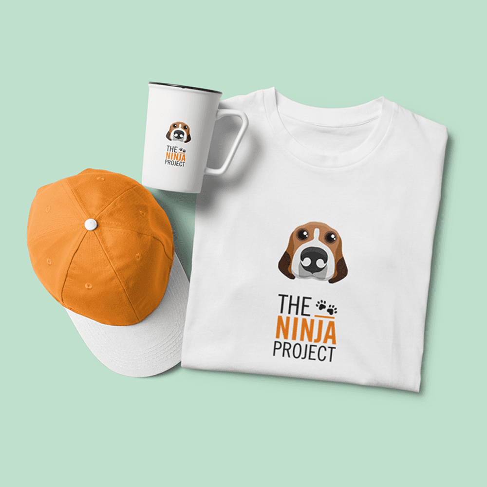 The Ninja Project - Featured Image