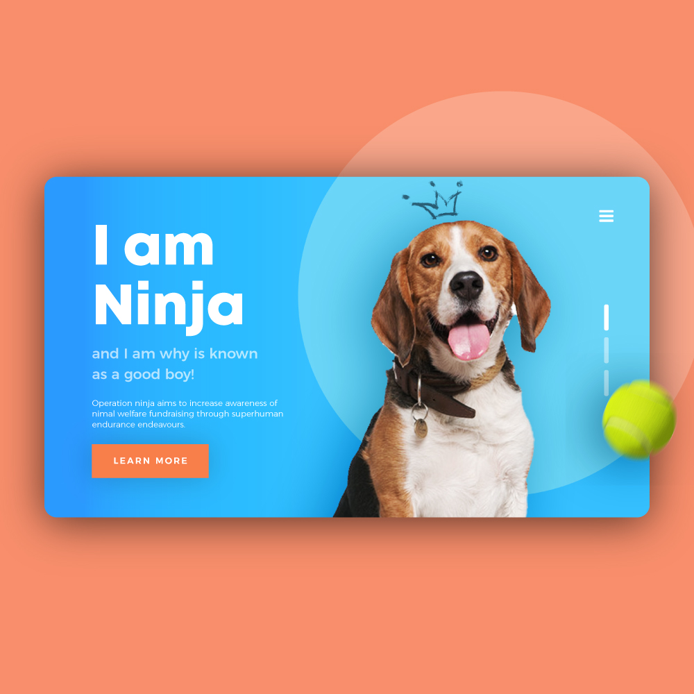 The Ninja Project - Thumbnail 2